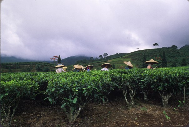 Autosave-File vom d-lab2/3 der AgfaPhoto GmbH