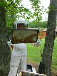 hive inspection