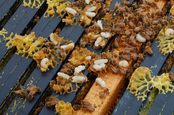 DSC_6929 - Version 2