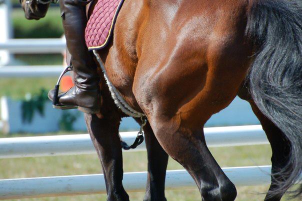 551140_10151760382820512_1240086833_n