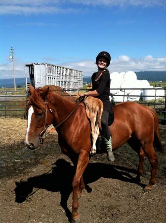 00b0b_dBOFLlFSTGF_600x450